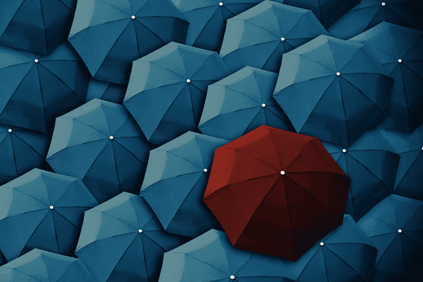 Umbrella company